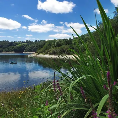 Vvf Cantal Champs-sur-tarentaine 3* Champs-Sur-Tarentaine-Marchal