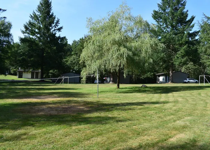 Vvf Villages   Les Lacs Du Cantal   Champs-sur-tarentaine 3* Champs-Sur-Tarentaine-Marchal