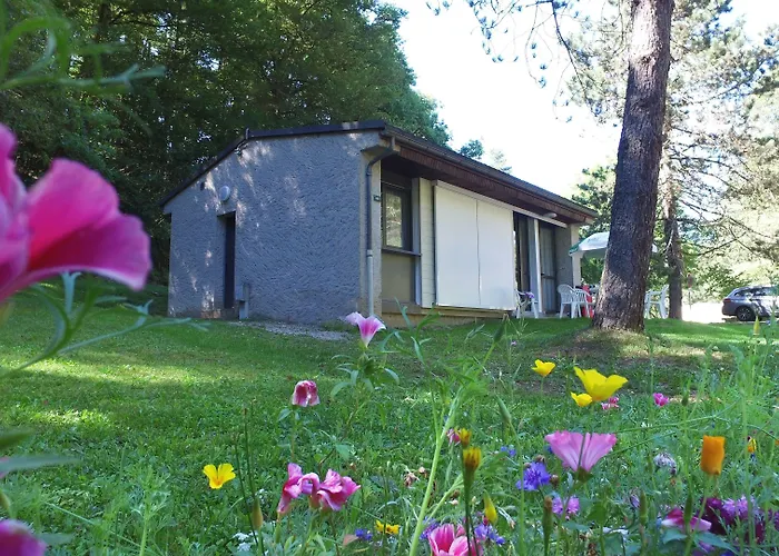 Vvf Villages   Les Lacs Du Cantal   Champs-sur-tarentaine