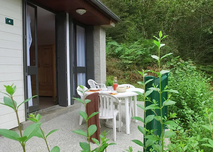 Vvf Villages   Les Lacs Du Cantal   Champs-sur-tarentaine Village de vacances 3*