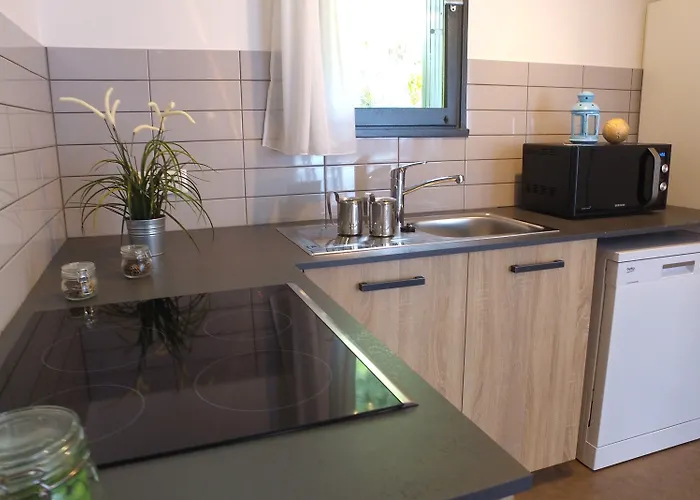 Vvf Villages   Les Lacs Du Cantal   Champs-sur-tarentaine