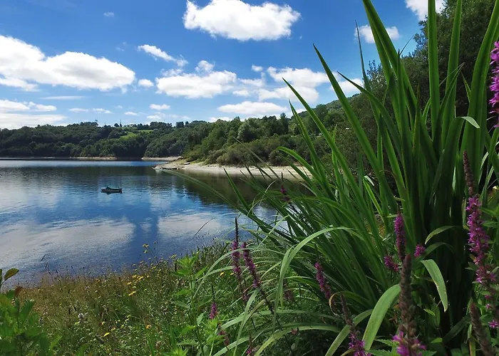 Vvf Villages   Les Lacs Du Cantal   Champs-sur-tarentaine 3* Champs-Sur-Tarentaine-Marchal