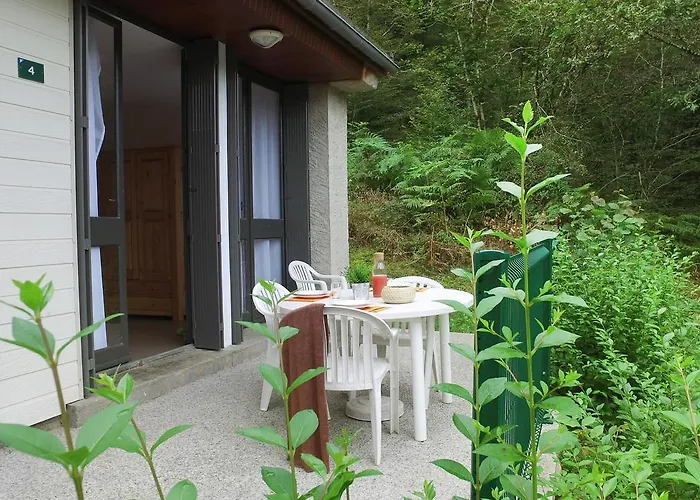 Vvf Villages   Les Lacs Du Cantal   Champs-sur-tarentaine 3* Champs-Sur-Tarentaine-Marchal